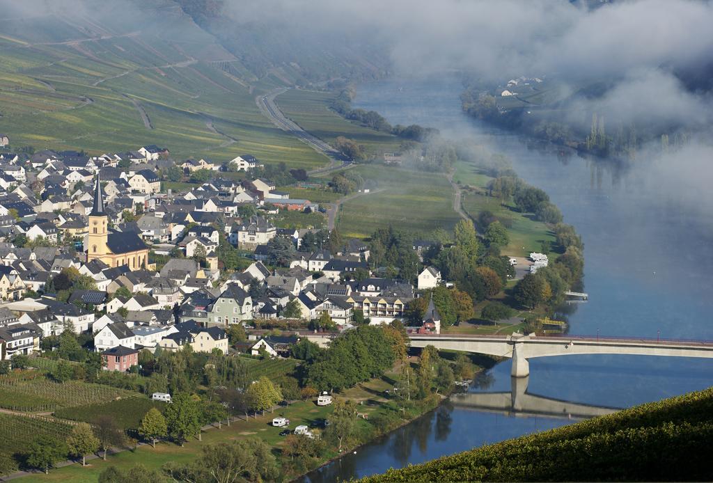 Weingut & Gaestehaus Edwin Hoffmann Trittenheim Eksteriør bilde