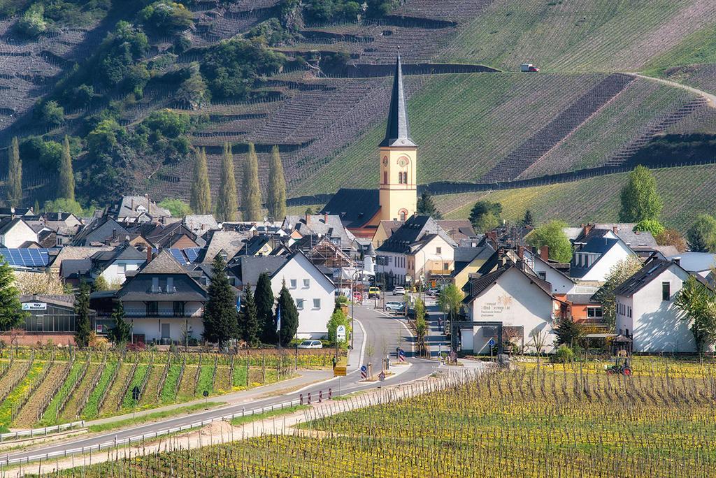 Weingut & Gaestehaus Edwin Hoffmann Trittenheim Eksteriør bilde