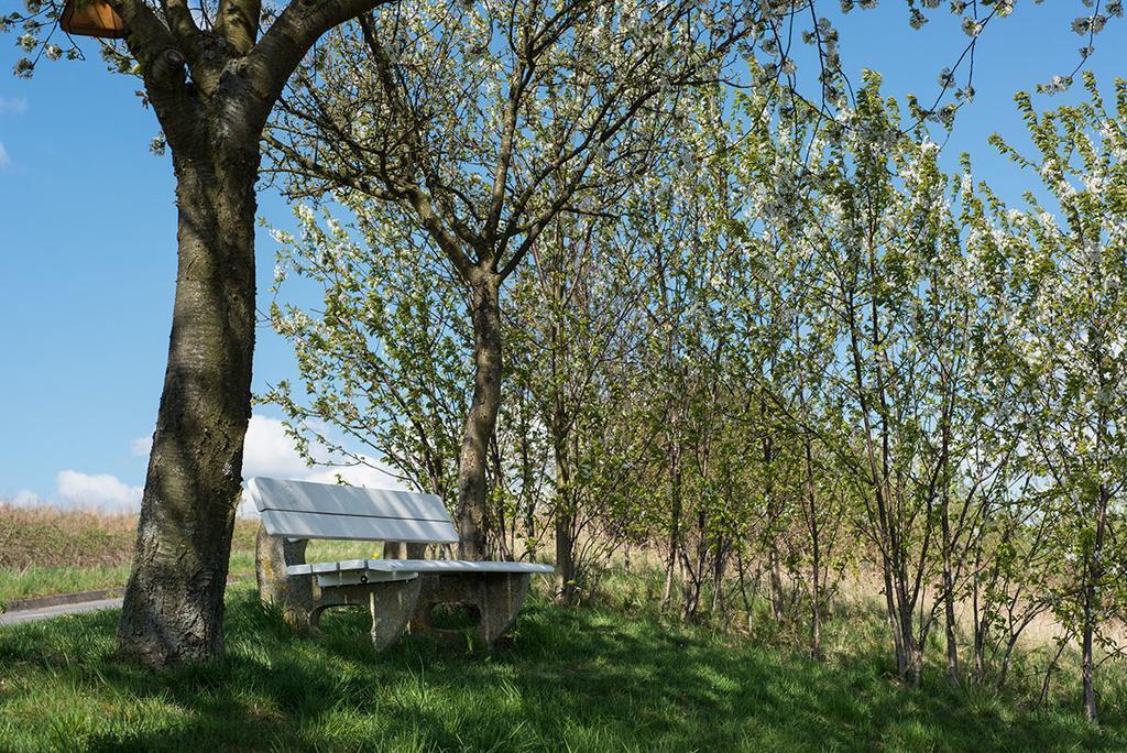 Weingut & Gaestehaus Edwin Hoffmann Trittenheim Eksteriør bilde